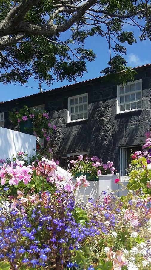 Casa Do Ze - Al Guest House Manadas Luaran gambar
